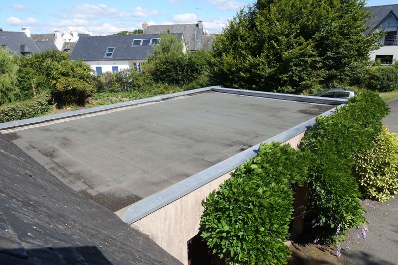 Roof Leak Detection And Repair